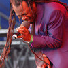 Levi Roots